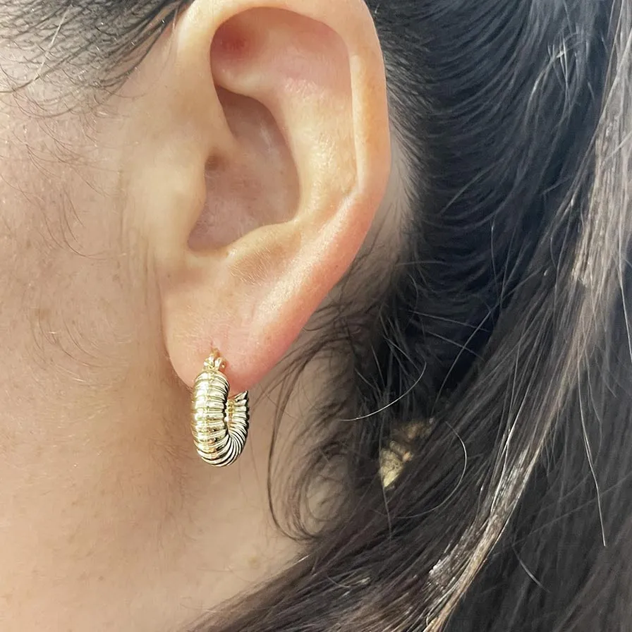 Gold Chunky and Thick Hoop Earrings