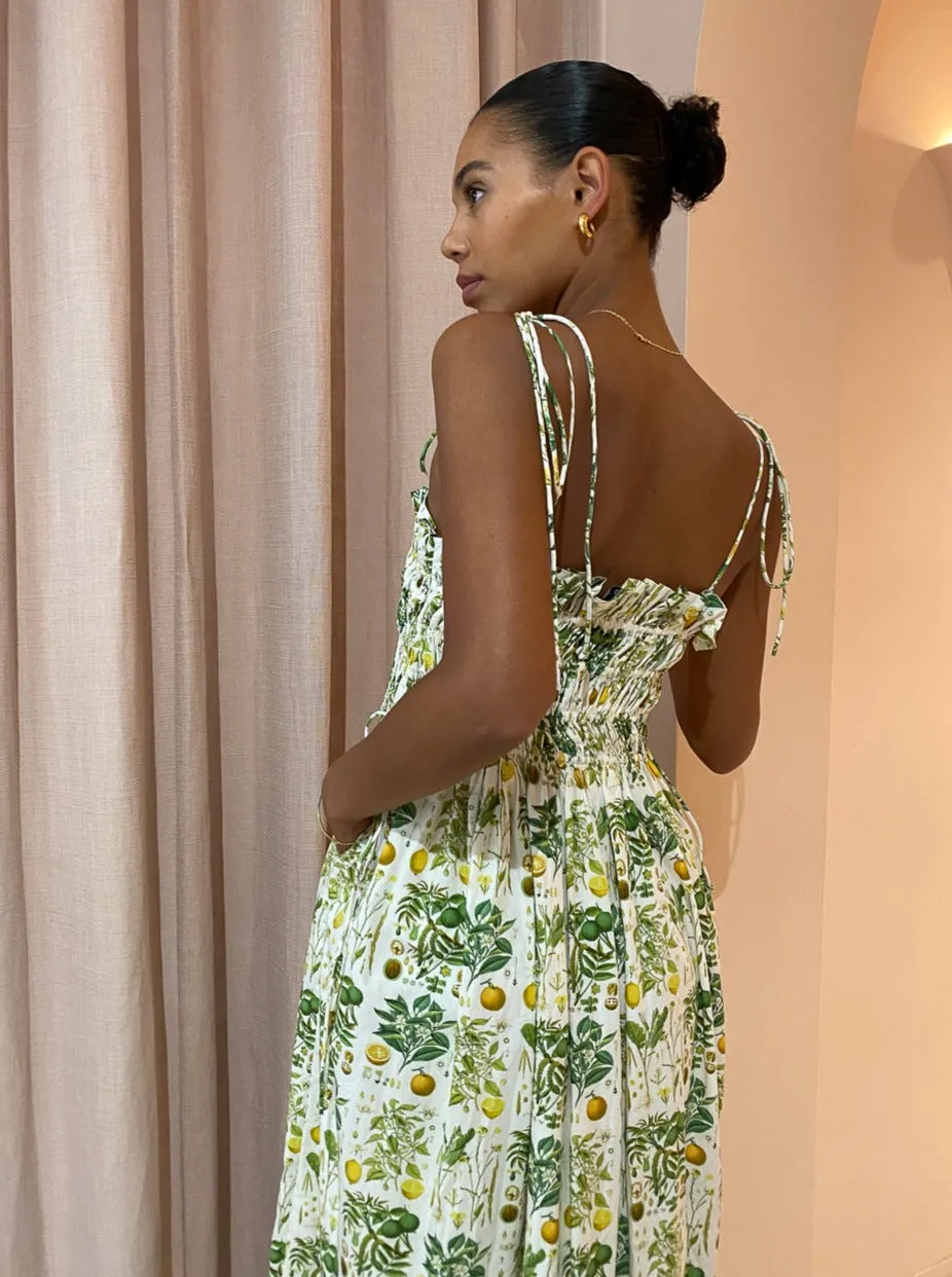 Palm Noosa Sail Away Dress in Citrus Botanical