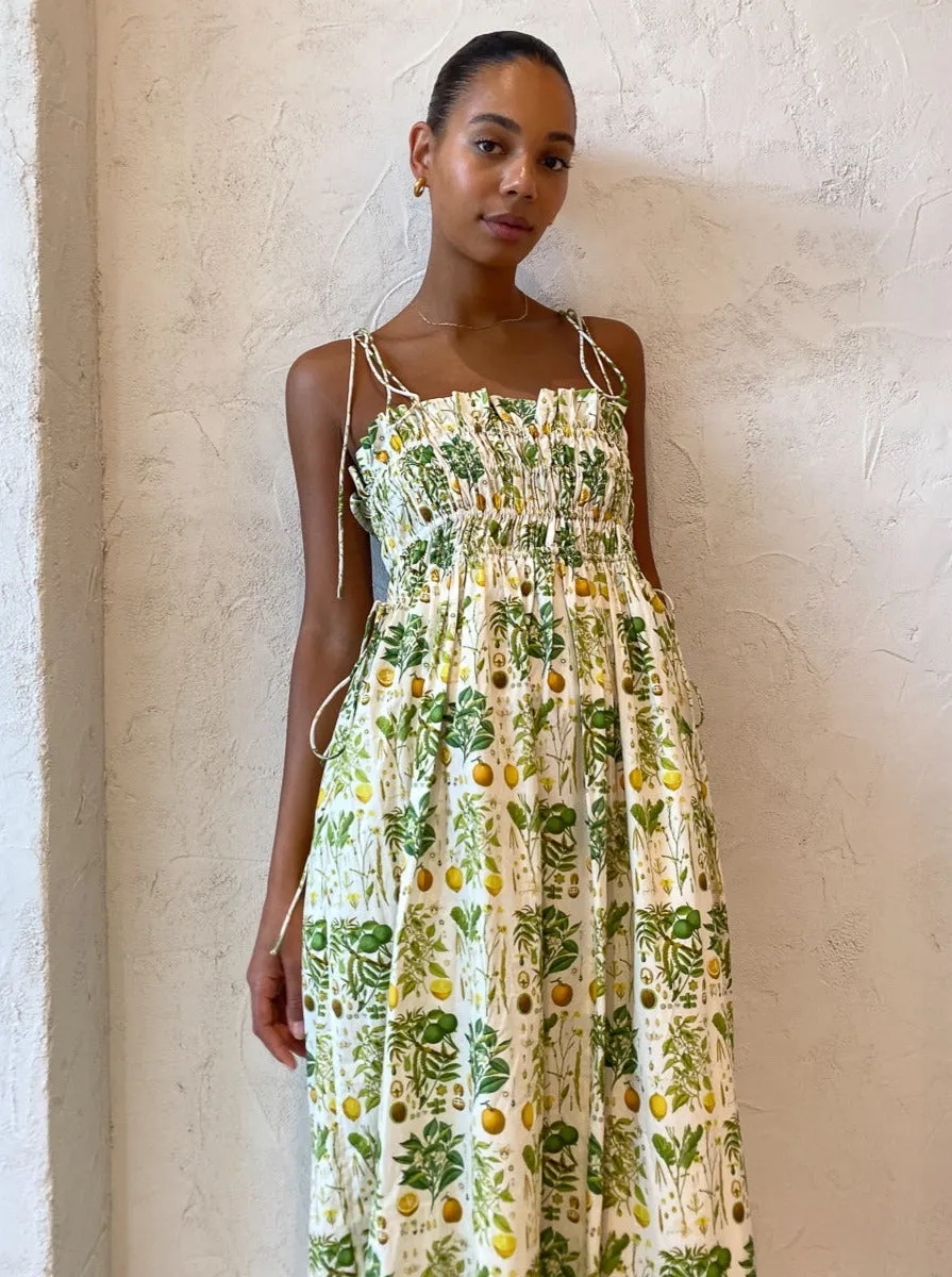 Palm Noosa Sail Away Dress in Citrus Botanical
