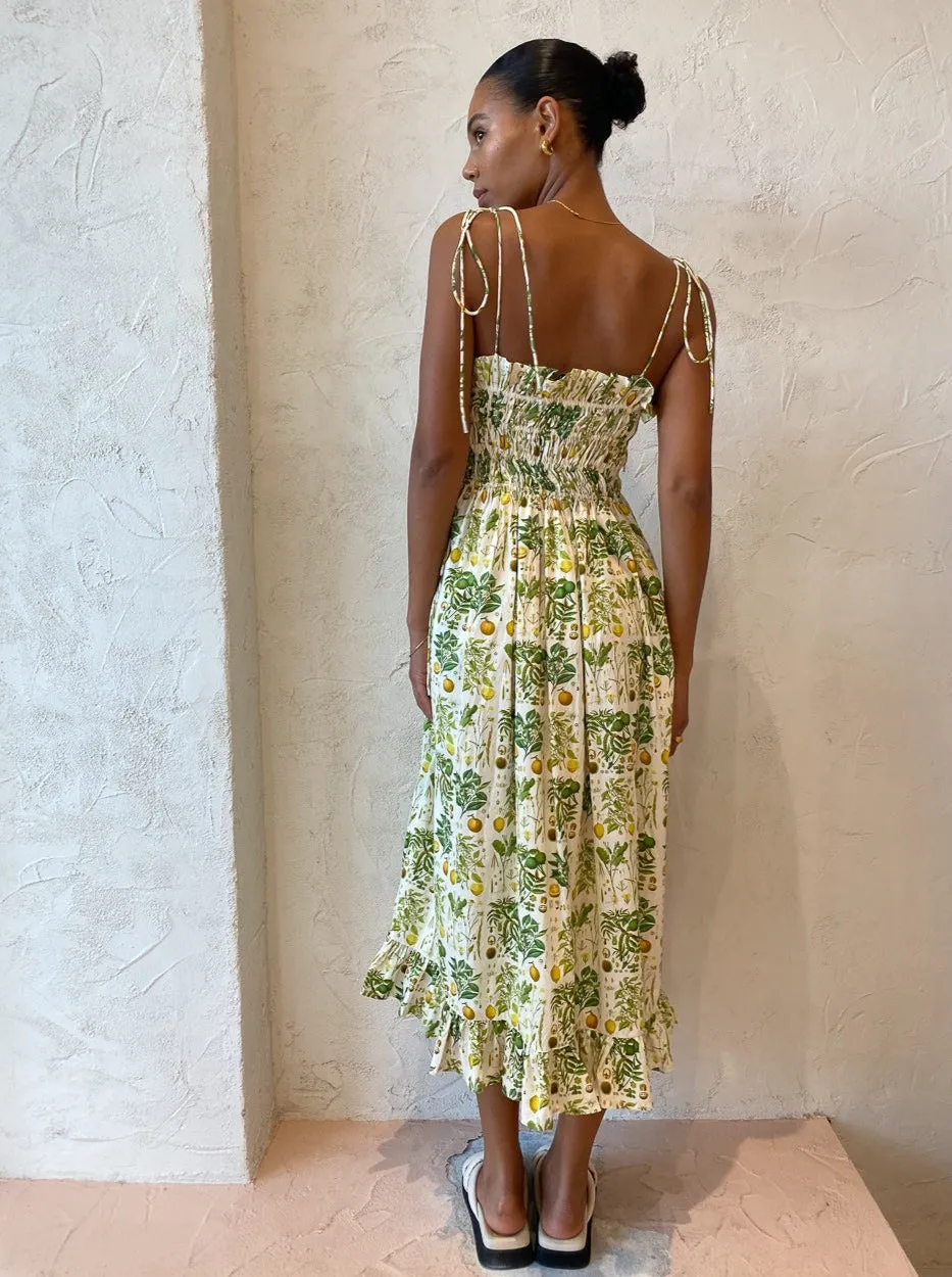 Palm Noosa Sail Away Dress in Citrus Botanical