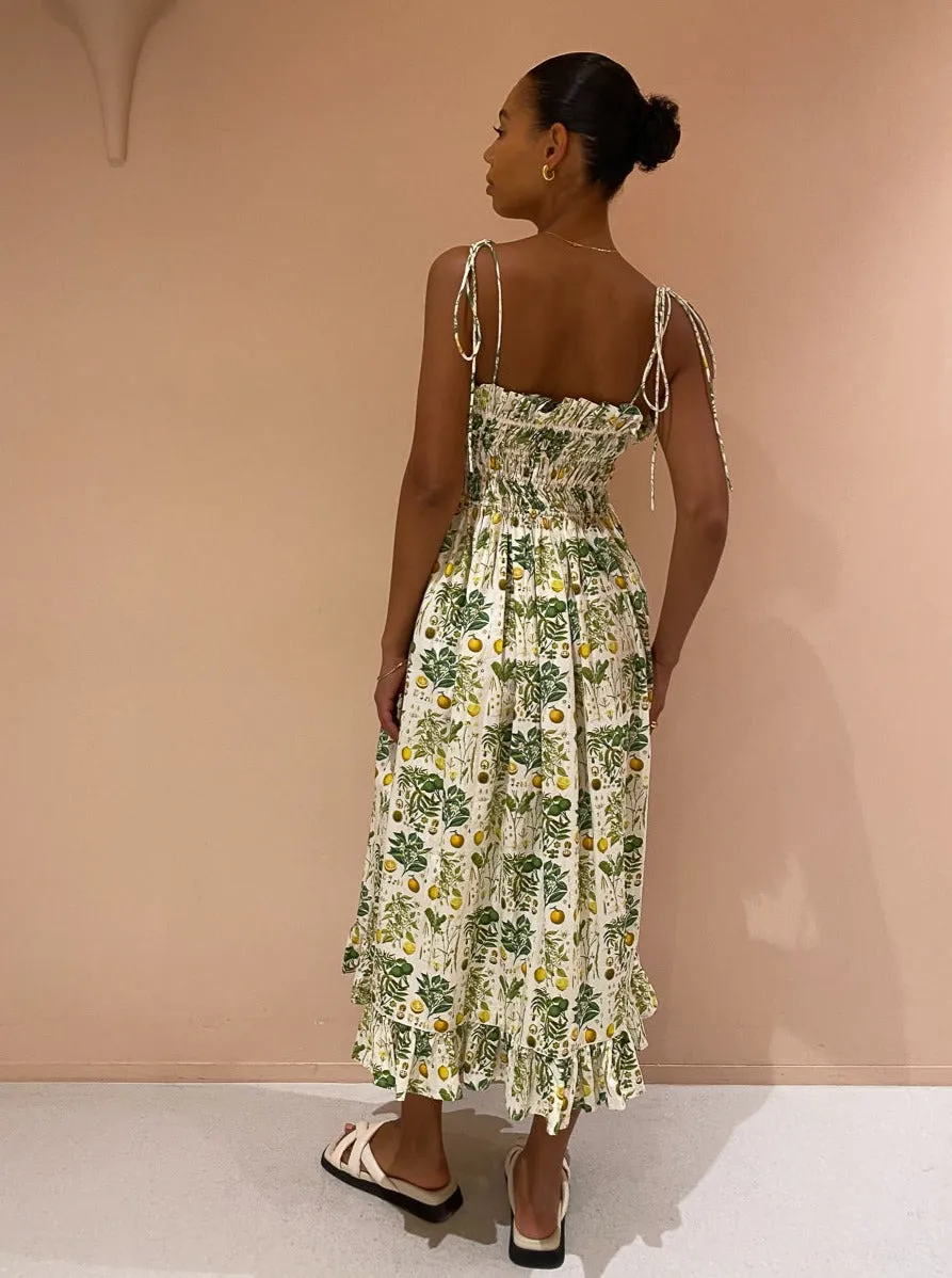 Palm Noosa Sail Away Dress in Citrus Botanical