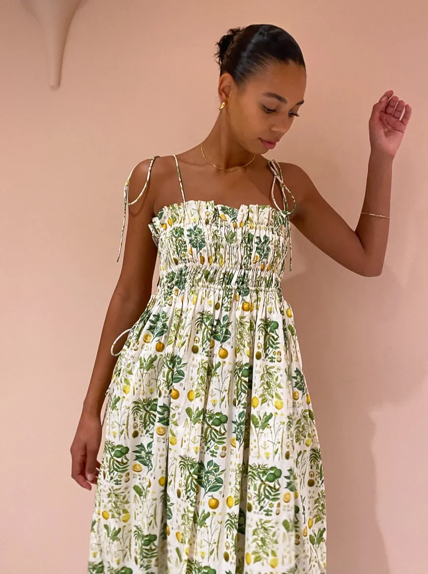 Palm Noosa Sail Away Dress in Citrus Botanical