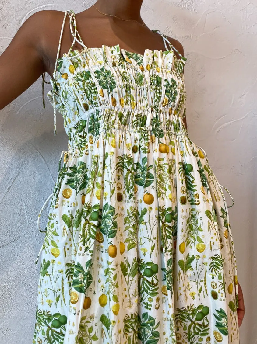 Palm Noosa Sail Away Dress in Citrus Botanical