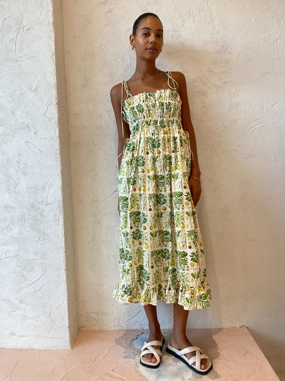Palm Noosa Sail Away Dress in Citrus Botanical