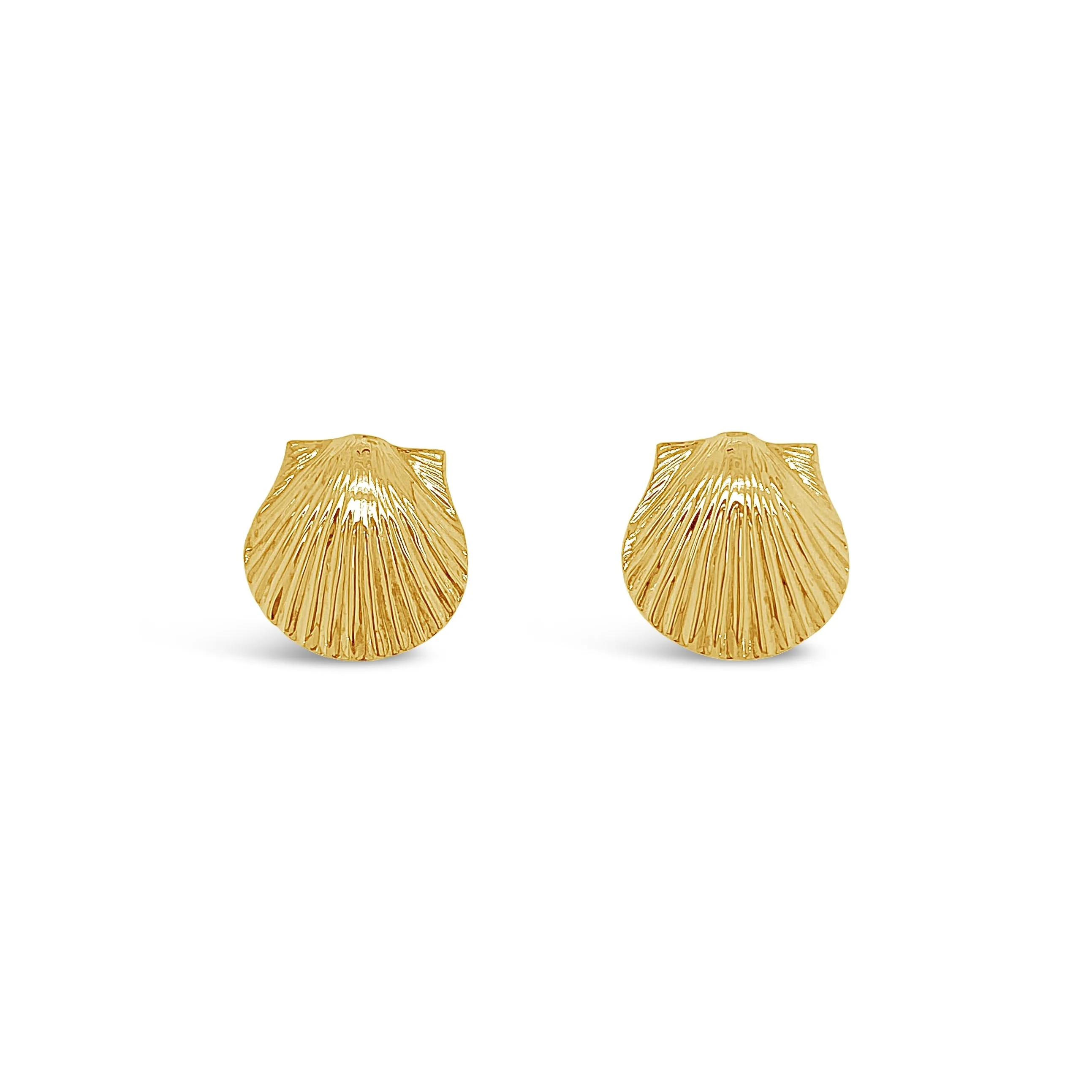 Scallop Shell Stud Earrings