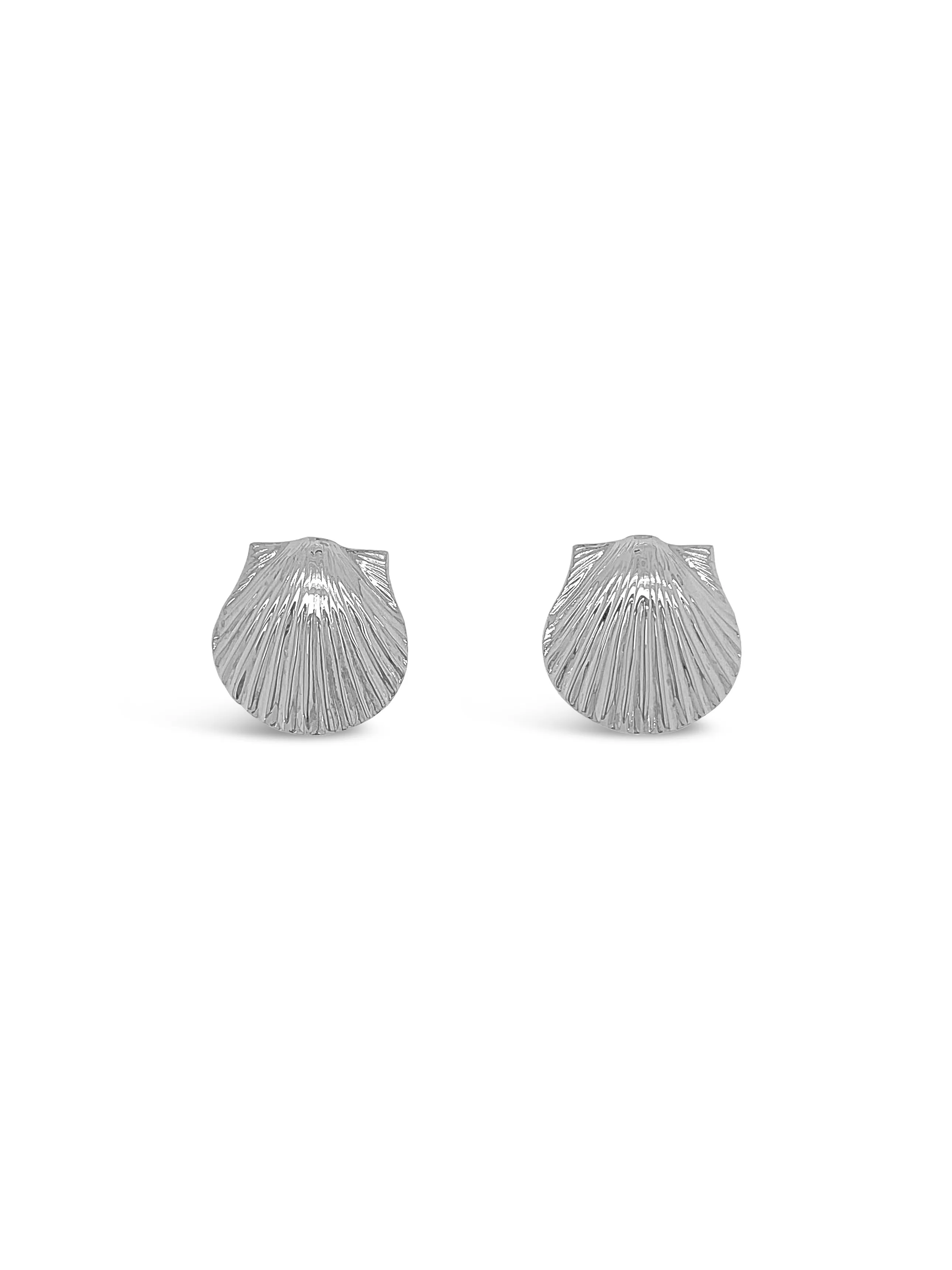 Scallop Shell Stud Earrings