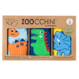 Toddler Organic Potty Training Pants (3-pk) - Jurassic Pals