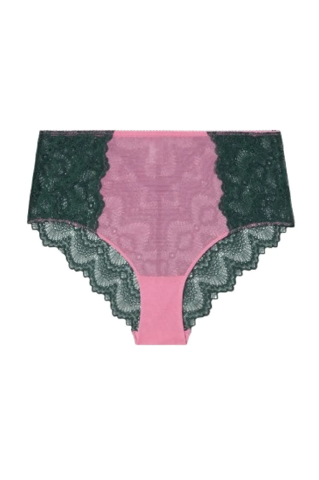 Understatement Underwear - Lace Mesh Highwaist Briefs - Pine/Candy Pink